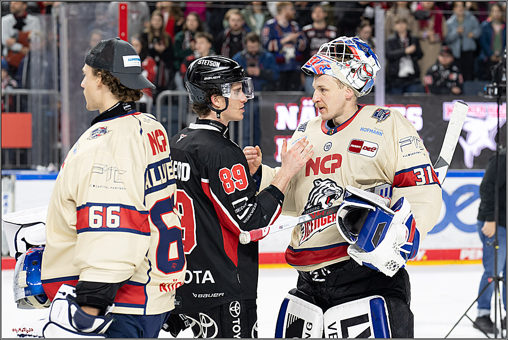 PENNY DEL 1; Kölner Haie - Nürnberger Ice Tigers; Köln, 26.11.2024