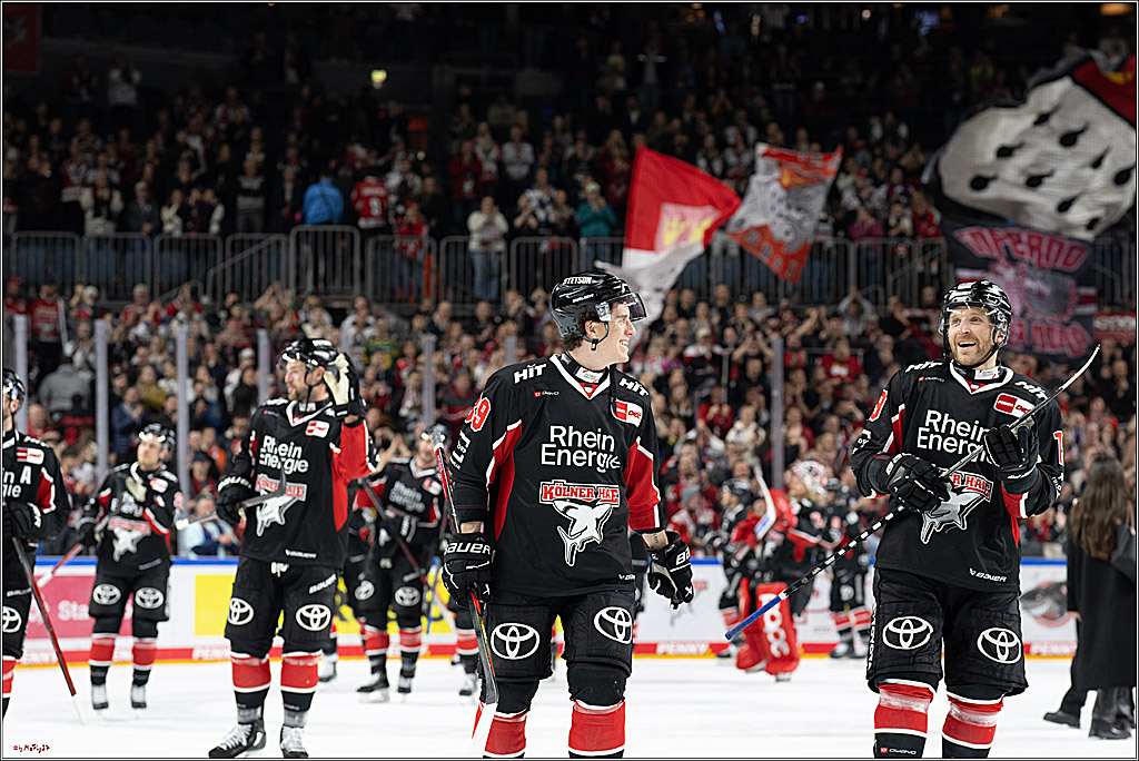 PENNY DEL 1; Kölner Haie - Nürnberger Ice Tigers; Köln, 26.11.2024