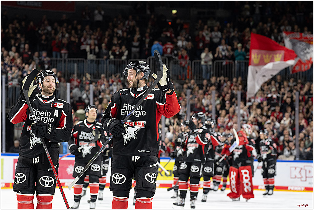 PENNY DEL 1; Kölner Haie - Nürnberger Ice Tigers; Köln, 26.11.2024