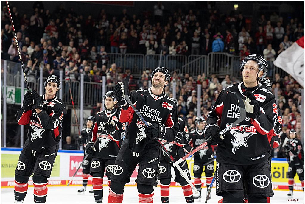 PENNY DEL 1; Kölner Haie - Nürnberger Ice Tigers; Köln, 26.11.2024