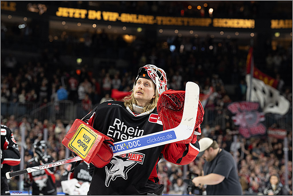 PENNY DEL 1; Kölner Haie - Nürnberger Ice Tigers; Köln, 26.11.2024