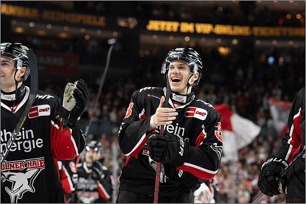 PENNY DEL 1; Kölner Haie - Nürnberger Ice Tigers; Köln, 26.11.2024