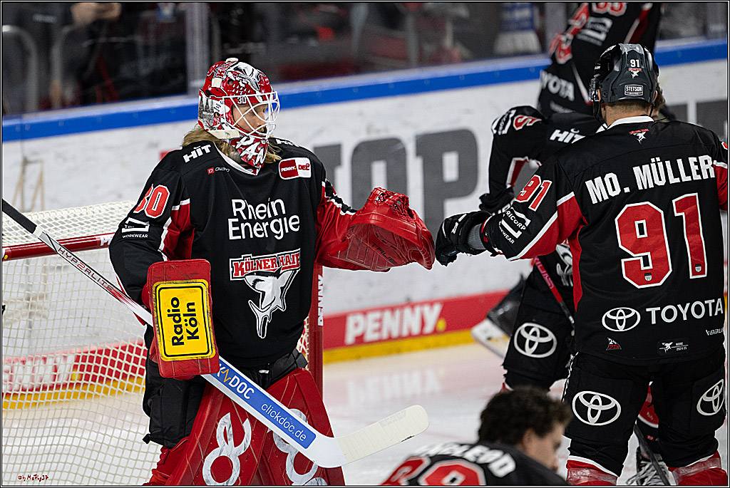 PENNY DEL 1; Kölner Haie - Nürnberger Ice Tigers; Köln, 26.11.2024