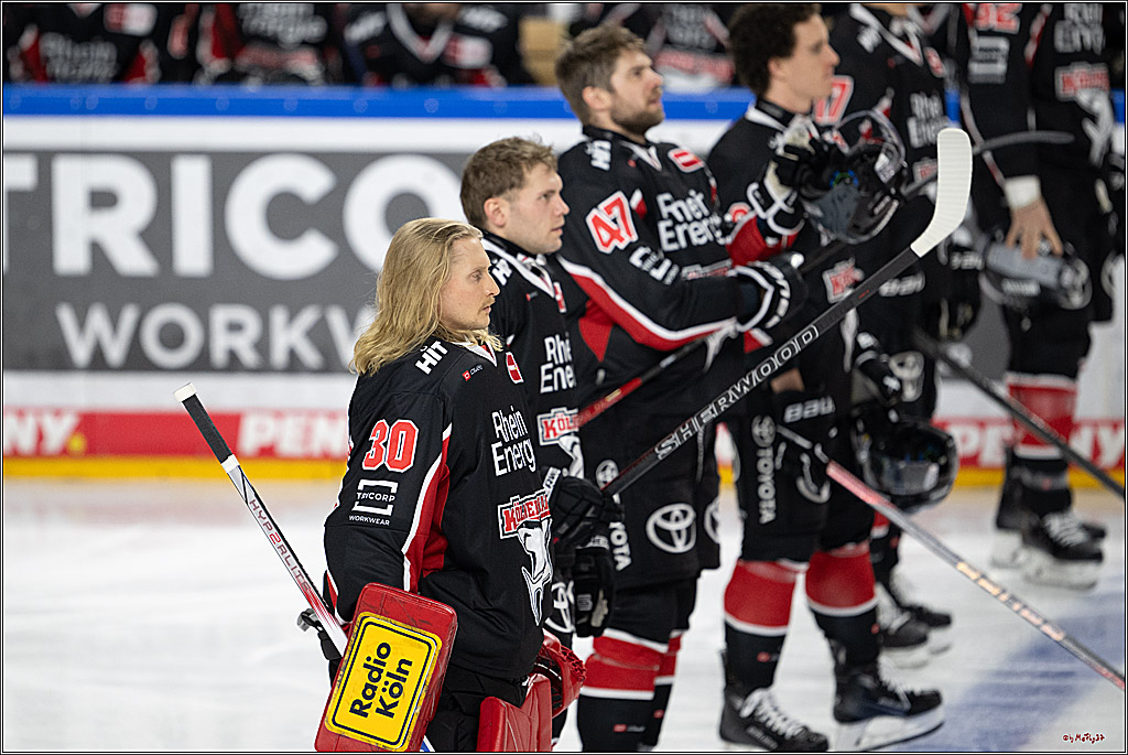 PENNY DEL 1; Kölner Haie - Nürnberger Ice Tigers; Köln, 26.11.2024
