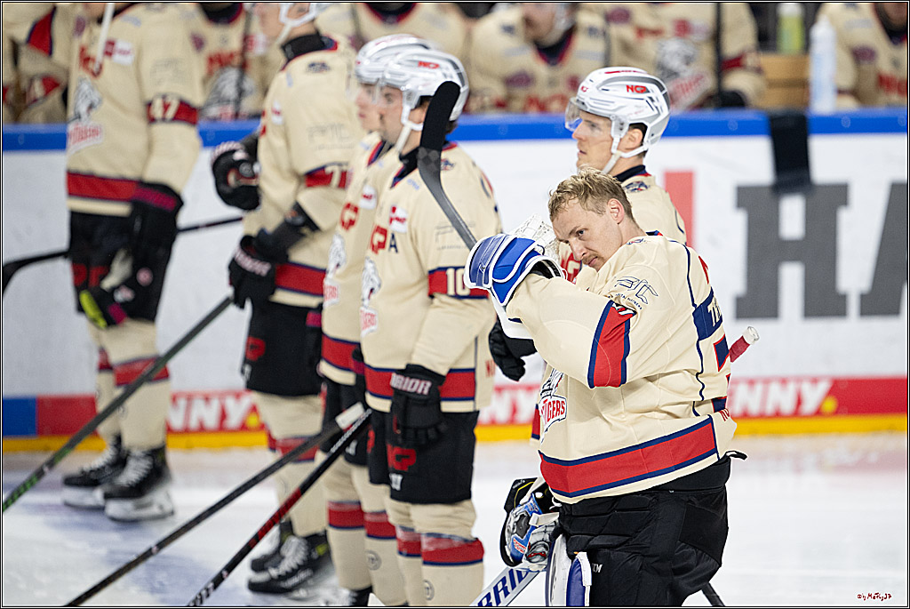 PENNY DEL 1; Kölner Haie - Nürnberger Ice Tigers; Köln, 26.11.2024