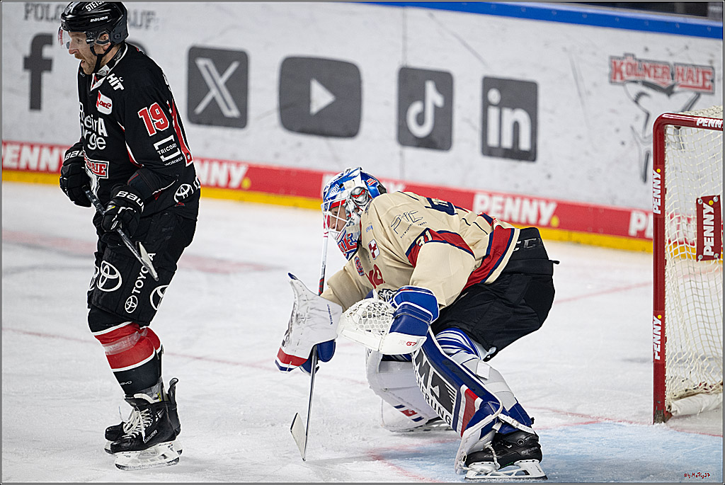 PENNY DEL 1; Kölner Haie - Nürnberger Ice Tigers; Köln, 26.11.2024