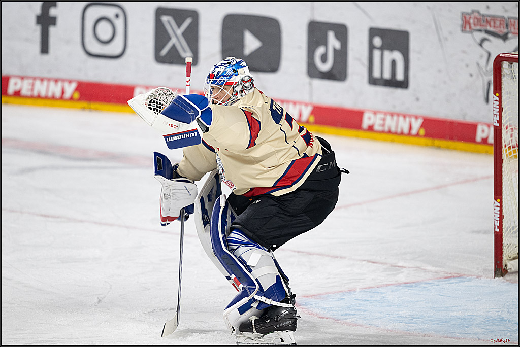 PENNY DEL 1; Kölner Haie - Nürnberger Ice Tigers; Köln, 26.11.2024