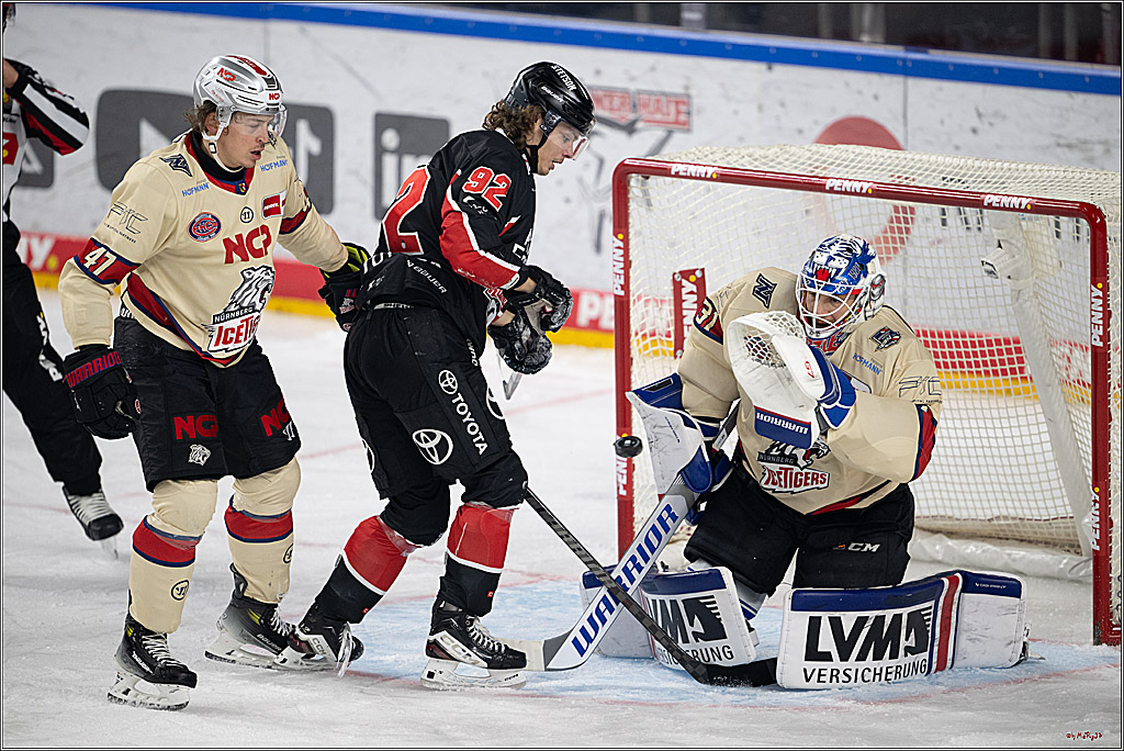 PENNY DEL 1; Kölner Haie - Nürnberger Ice Tigers; Köln, 26.11.2024