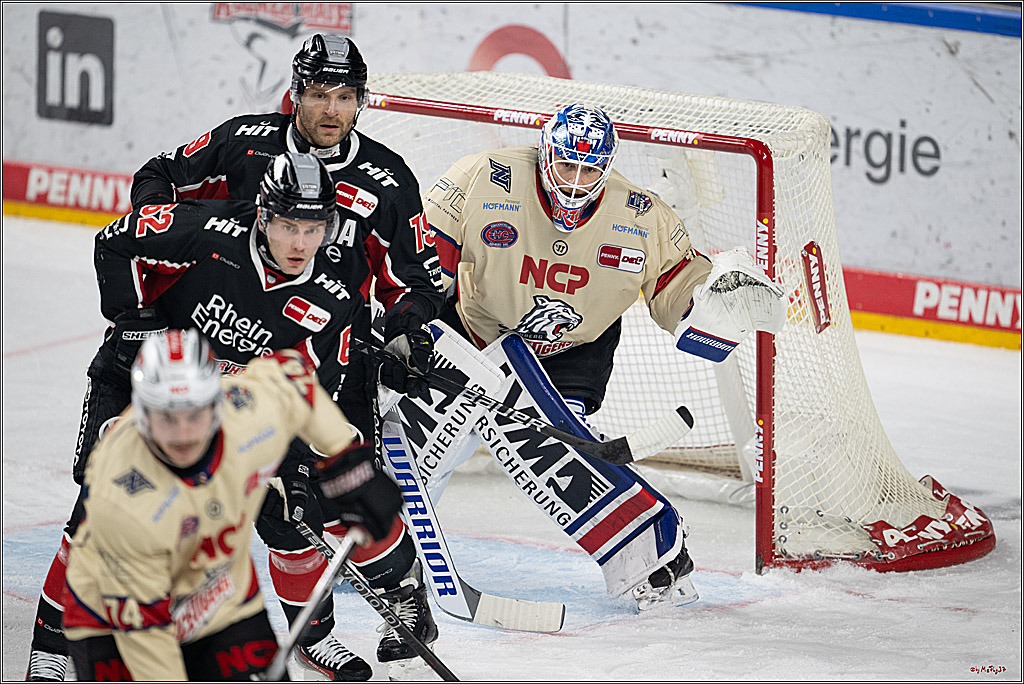 PENNY DEL 1; Kölner Haie - Nürnberger Ice Tigers; Köln, 26.11.2024