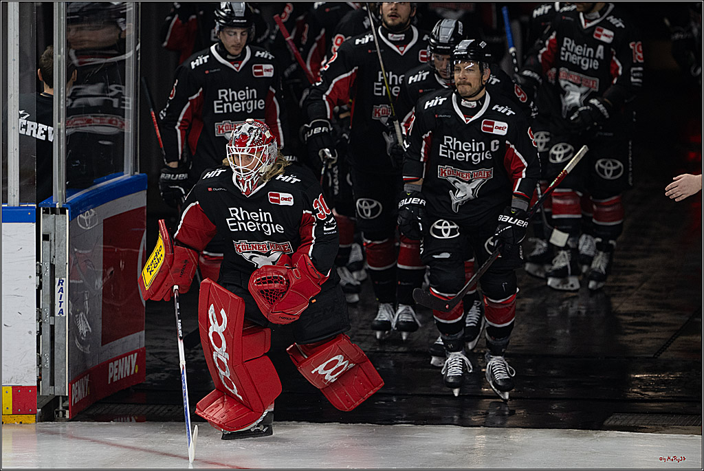 PENNY DEL 1; Kölner Haie - Nürnberger Ice Tigers; Köln, 26.11.2024