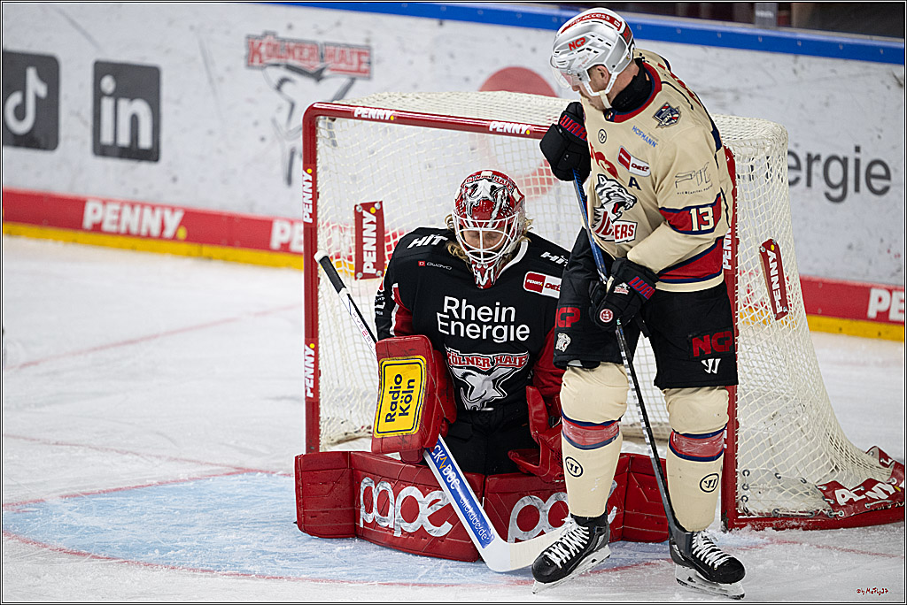 PENNY DEL 1; Kölner Haie - Nürnberger Ice Tigers; Köln, 26.11.2024