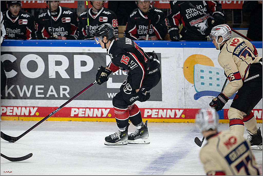 PENNY DEL 1; Kölner Haie - Nürnberger Ice Tigers; Köln, 26.11.2024