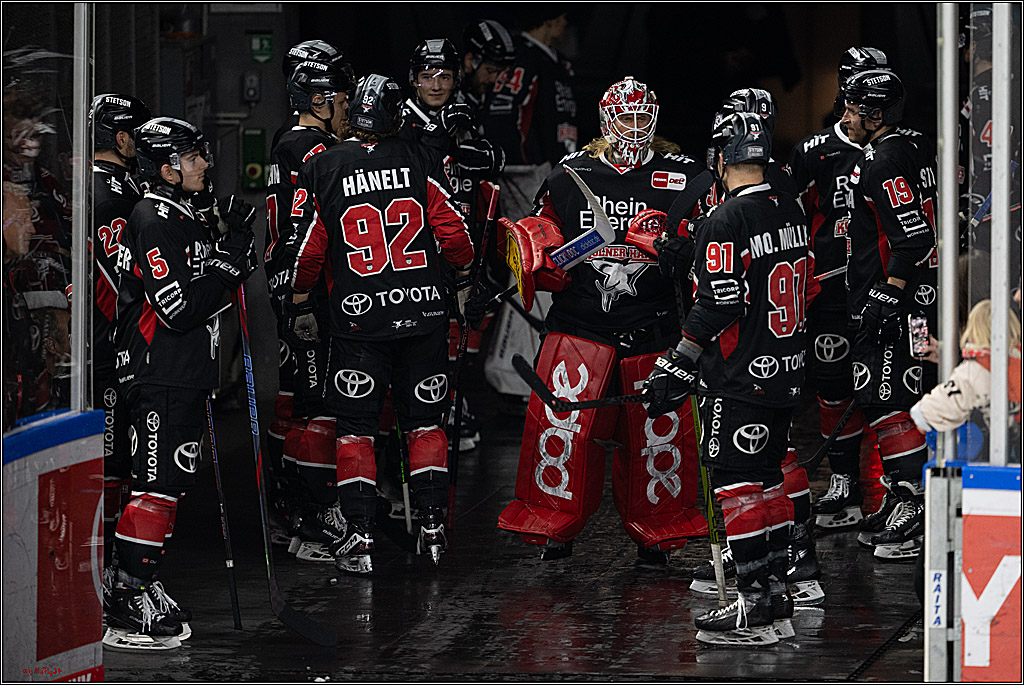 PENNY DEL 1; Kölner Haie - Nürnberger Ice Tigers; Köln, 26.11.2024