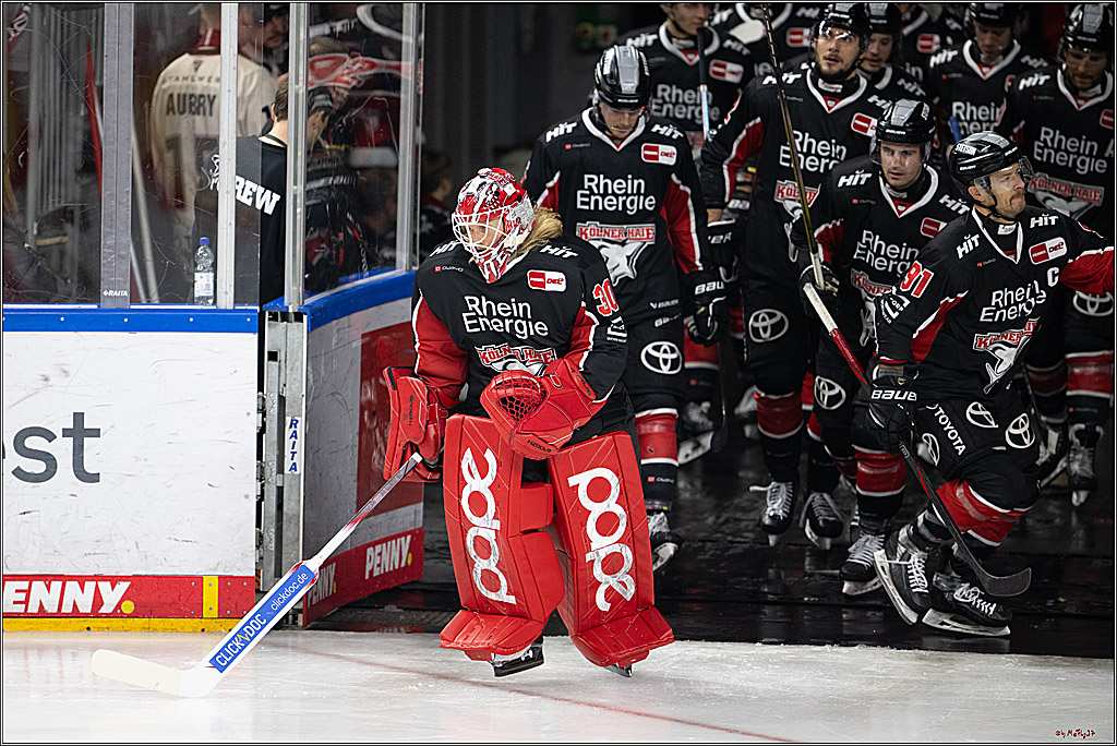 PENNY DEL 1; Kölner Haie - Nürnberger Ice Tigers; Köln, 26.11.2024