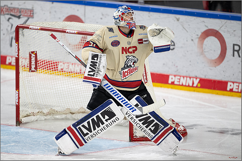 PENNY DEL 1; Kölner Haie - Nürnberger Ice Tigers; Köln, 26.11.2024
