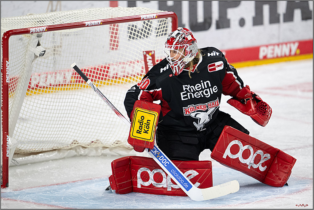 PENNY DEL 1; Kölner Haie - Nürnberger Ice Tigers; Köln, 26.11.2024