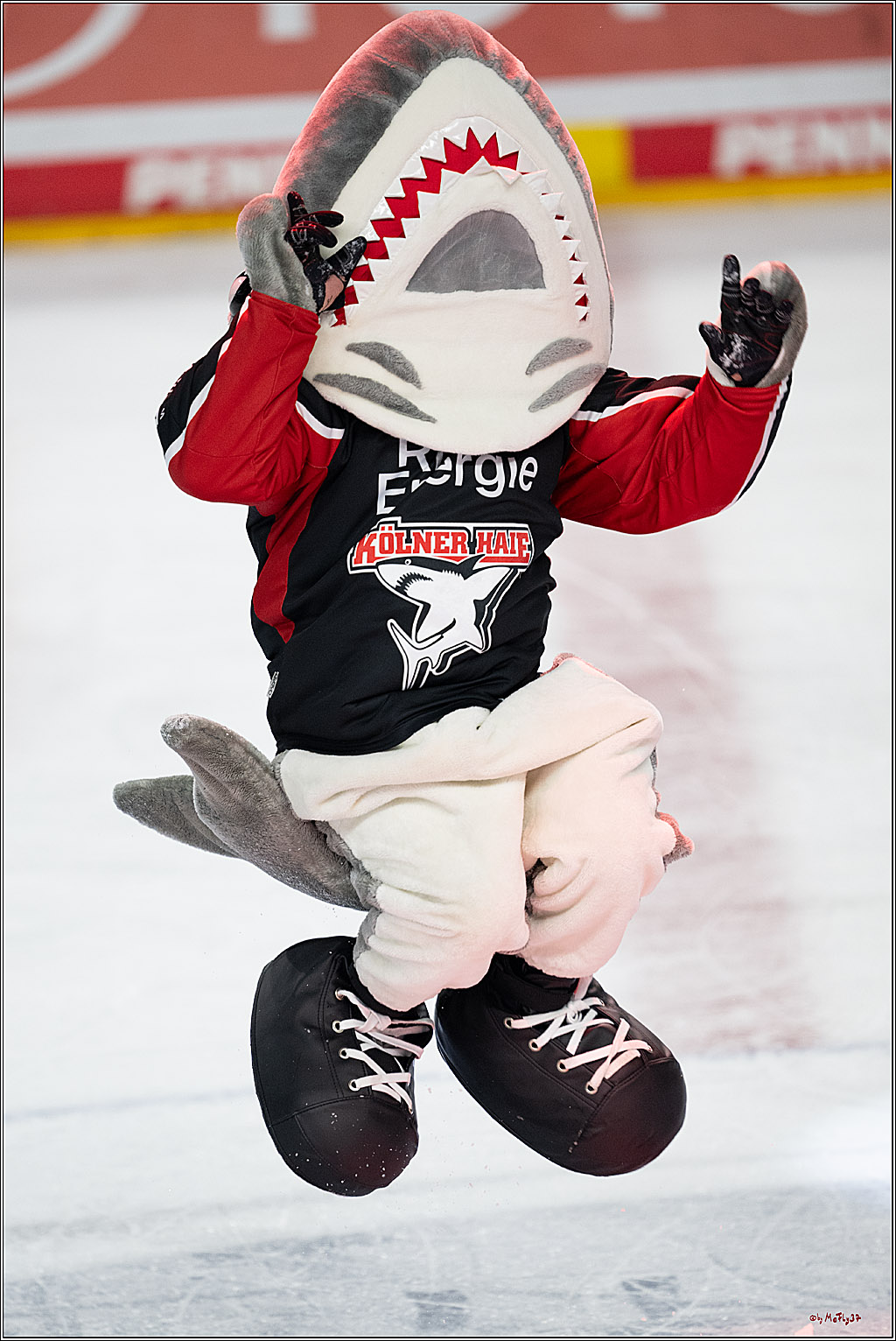 PENNY DEL 1; Kölner Haie - Nürnberger Ice Tigers; Köln, 26.11.2024