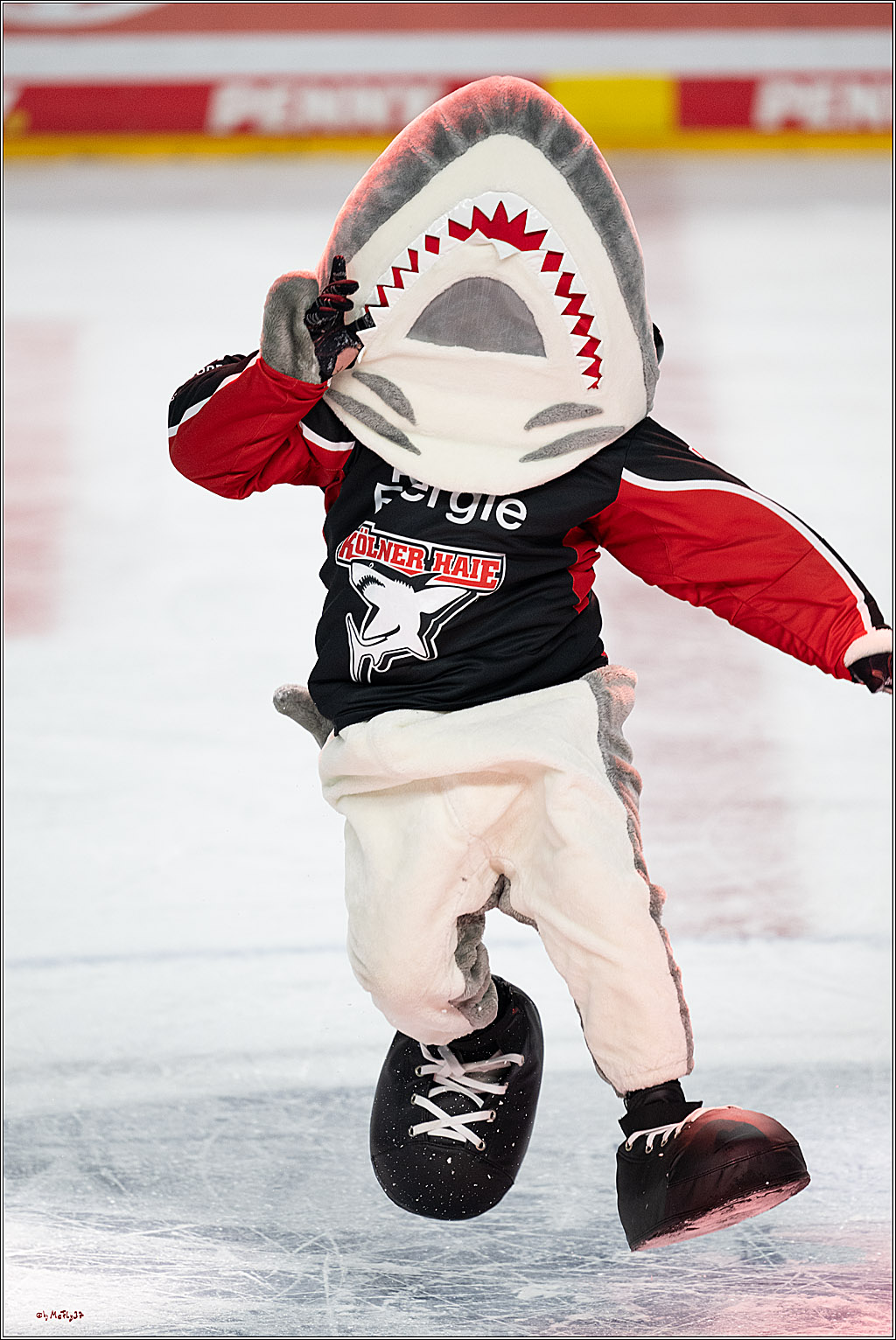 PENNY DEL 1; Kölner Haie - Nürnberger Ice Tigers; Köln, 26.11.2024