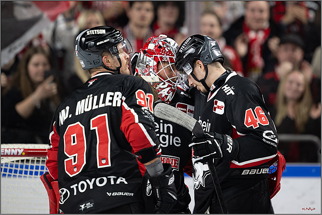 PENNY DEL 1; Kölner Haie - Nürnberger Ice Tigers; Köln, 26.11.2024