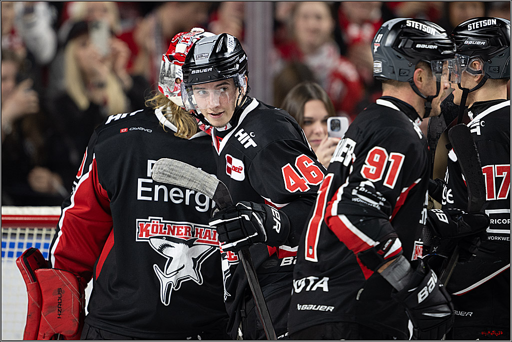 PENNY DEL 1; Kölner Haie - Nürnberger Ice Tigers; Köln, 26.11.2024