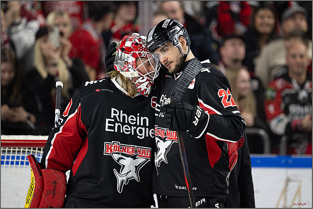 PENNY DEL 1; Kölner Haie - Nürnberger Ice Tigers; Köln, 26.11.2024