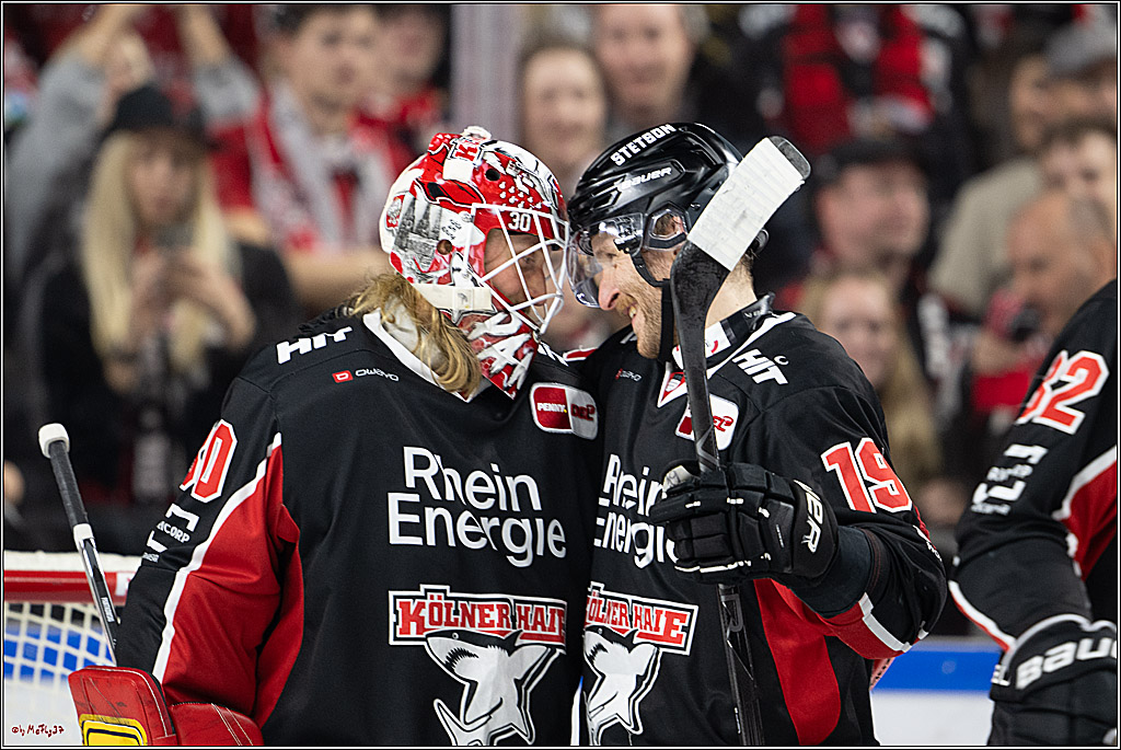 PENNY DEL 1; Kölner Haie - Nürnberger Ice Tigers; Köln, 26.11.2024