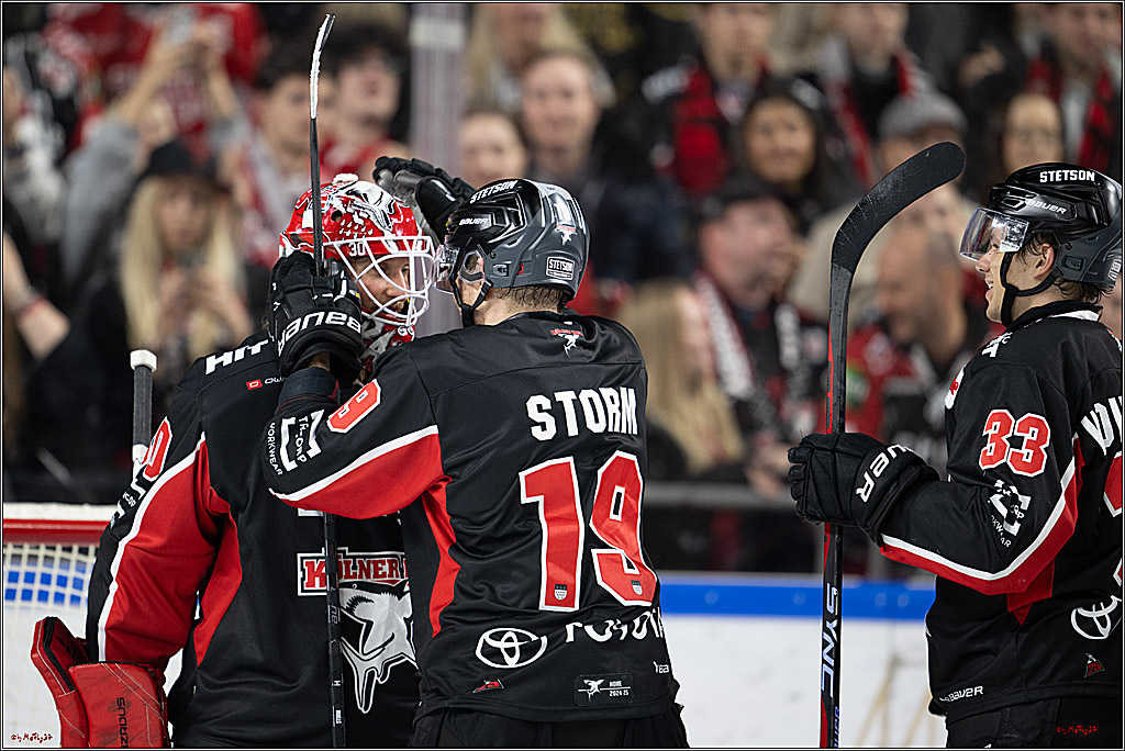 PENNY DEL 1; Kölner Haie - Nürnberger Ice Tigers; Köln, 26.11.2024