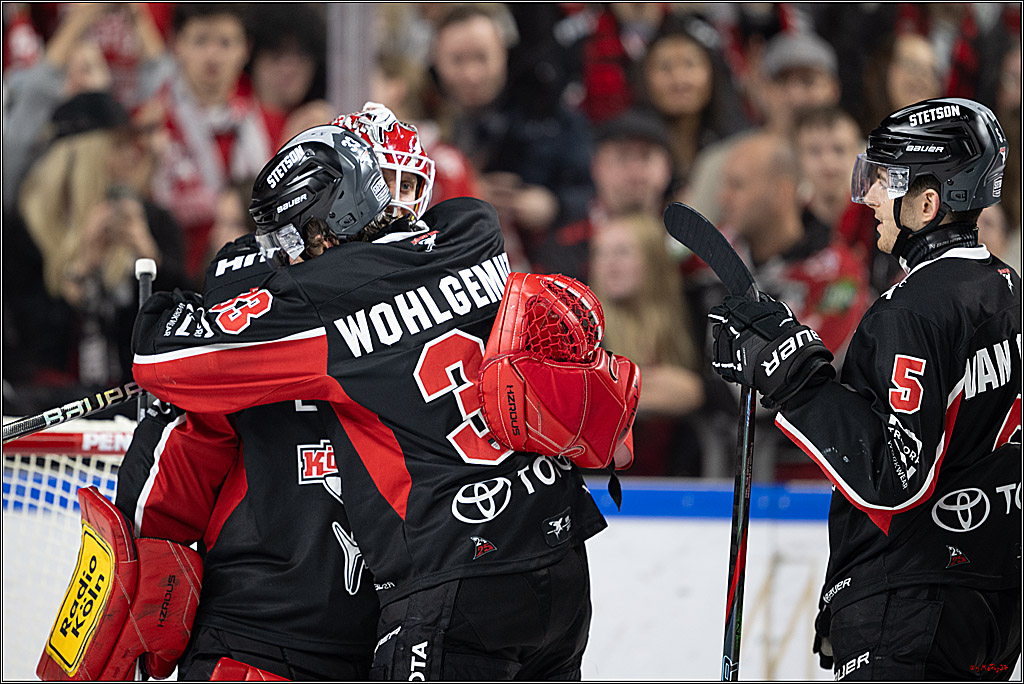 PENNY DEL 1; Kölner Haie - Nürnberger Ice Tigers; Köln, 26.11.2024
