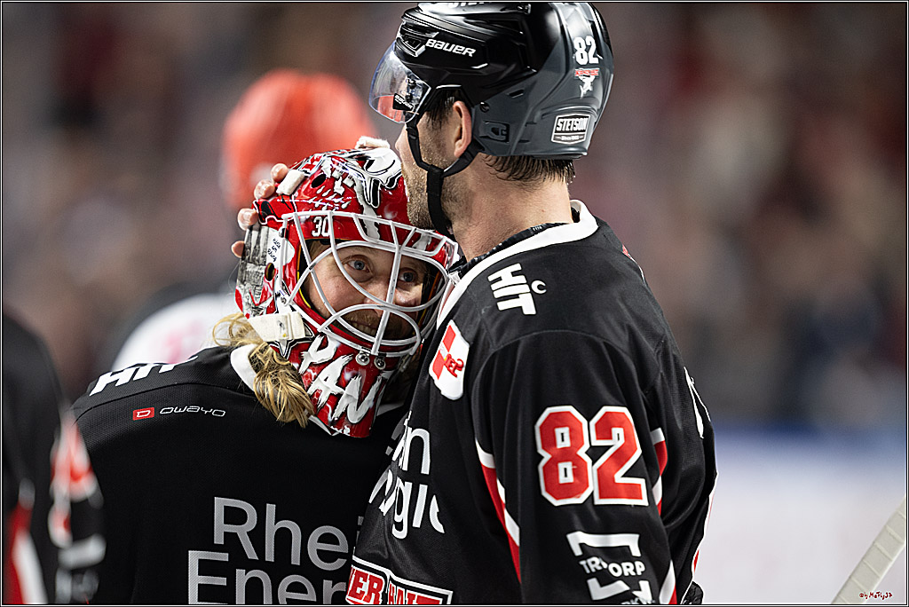 PENNY DEL 1; Kölner Haie - Nürnberger Ice Tigers; Köln, 26.11.2024