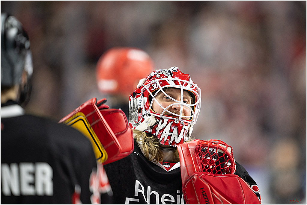 PENNY DEL 1; Kölner Haie - Nürnberger Ice Tigers; Köln, 26.11.2024