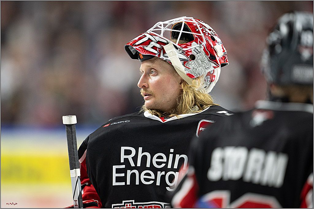 PENNY DEL 1; Kölner Haie - Nürnberger Ice Tigers; Köln, 26.11.2024