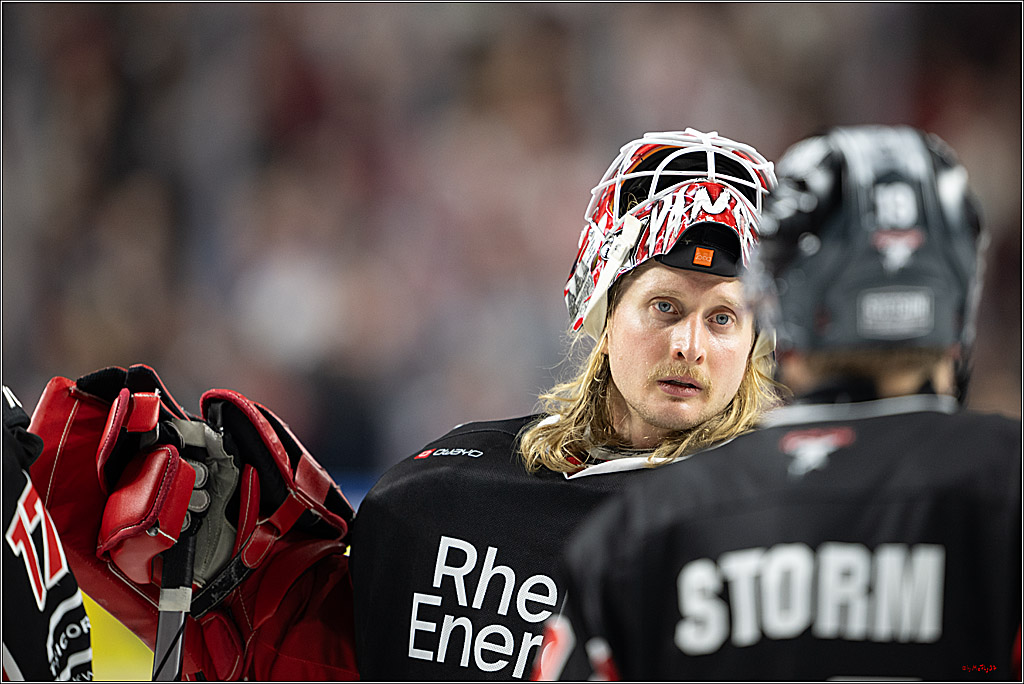 PENNY DEL 1; Kölner Haie - Nürnberger Ice Tigers; Köln, 26.11.2024