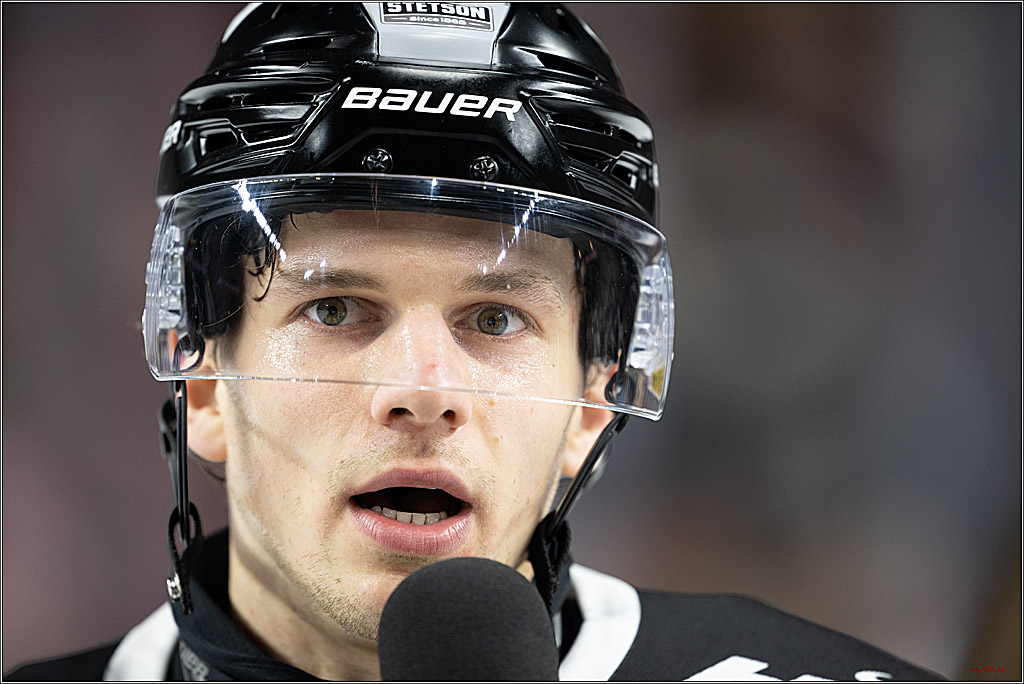 PENNY DEL 1; Kölner Haie - Nürnberger Ice Tigers; Köln, 26.11.2024