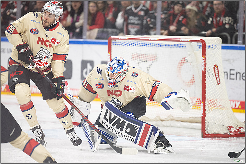 PENNY DEL; Koelner Haie-Nuernberger Ice Tigers; Koeln, 26.11.2024