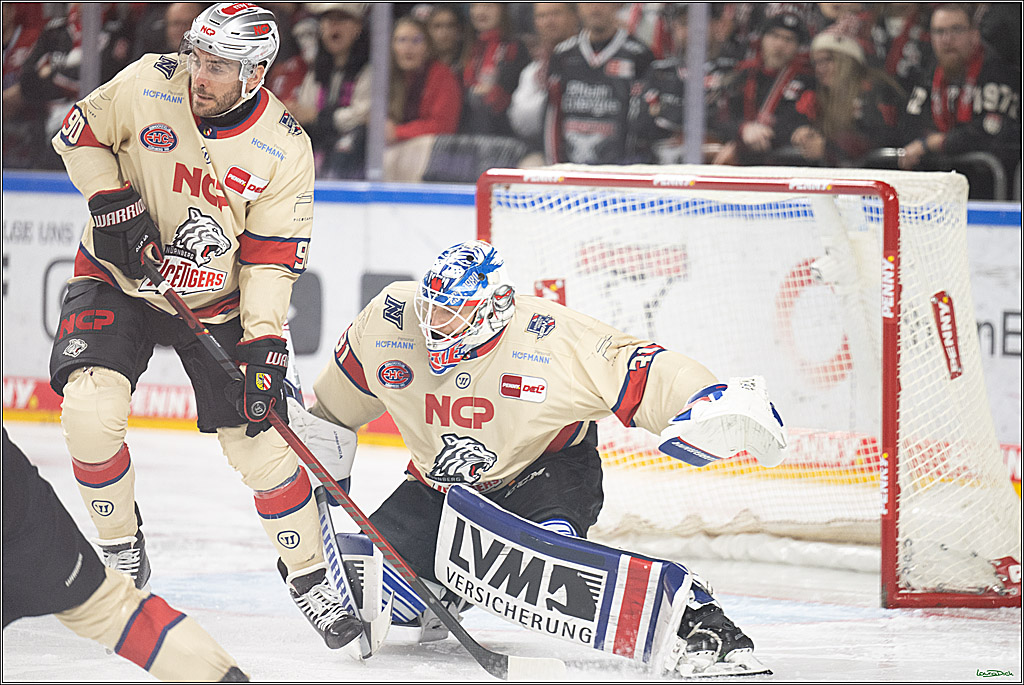 PENNY DEL; Koelner Haie-Nuernberger Ice Tigers; Koeln, 26.11.2024