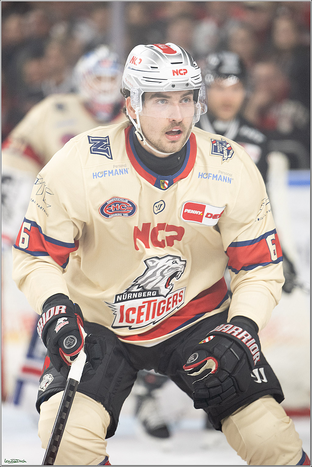 PENNY DEL; Koelner Haie-Nuernberger Ice Tigers; Koeln, 26.11.2024