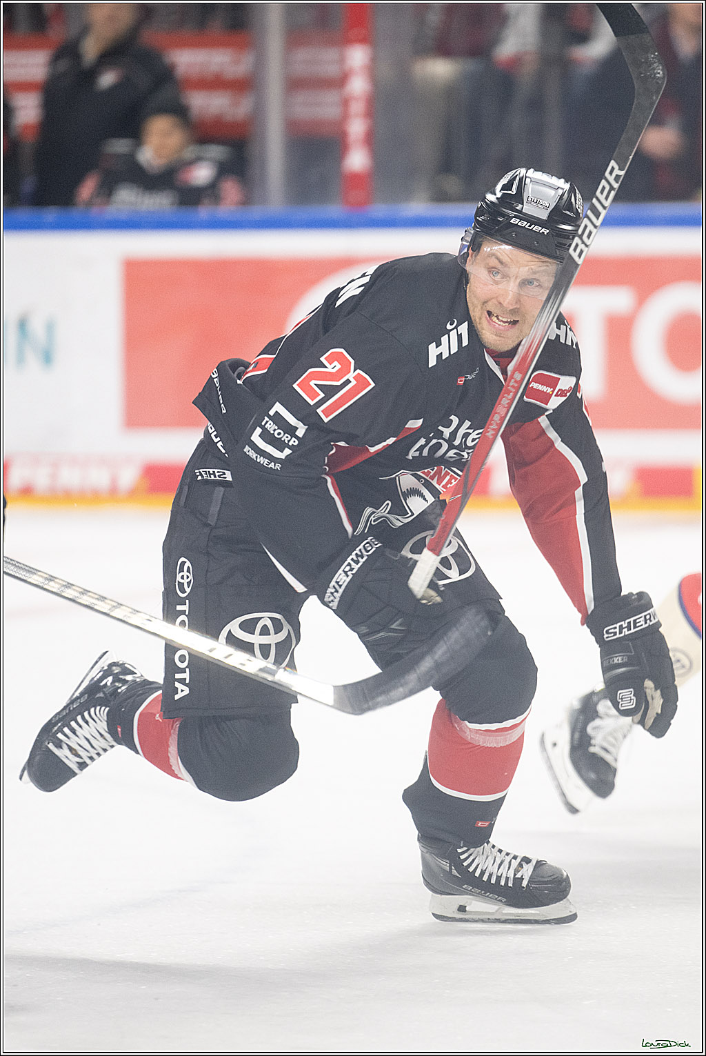 PENNY DEL; Koelner Haie-Nuernberger Ice Tigers; Koeln, 26.11.2024