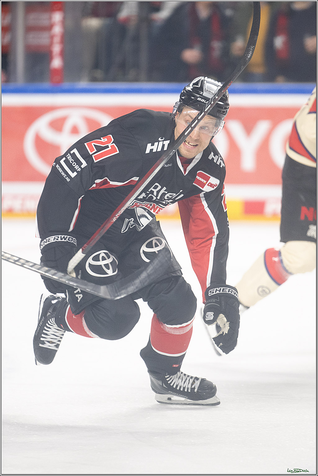 PENNY DEL; Koelner Haie-Nuernberger Ice Tigers; Koeln, 26.11.2024