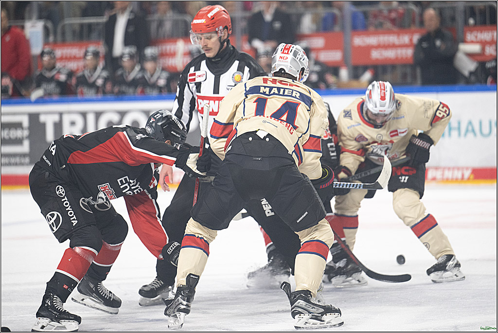 PENNY DEL; Koelner Haie-Nuernberger Ice Tigers; Koeln, 26.11.2024