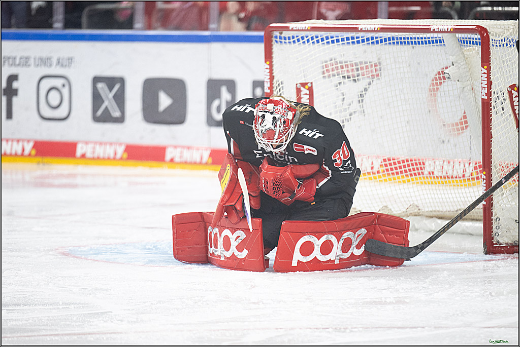 PENNY DEL; Koelner Haie-Nuernberger Ice Tigers; Koeln, 26.11.2024