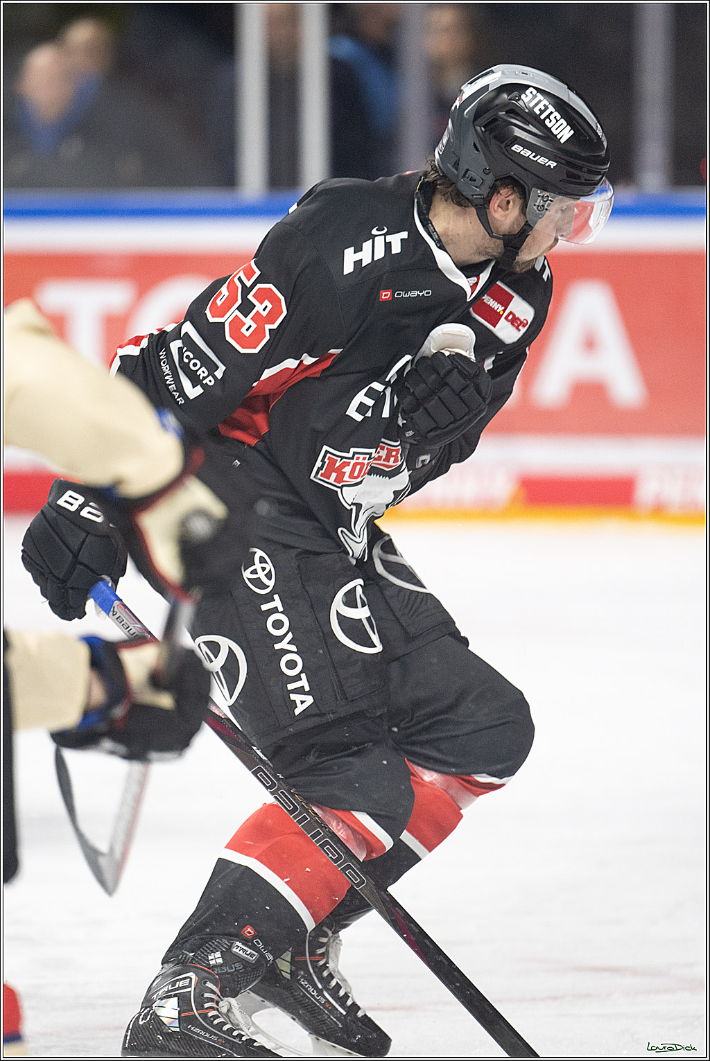 PENNY DEL; Koelner Haie-Nuernberger Ice Tigers; Koeln, 26.11.2024