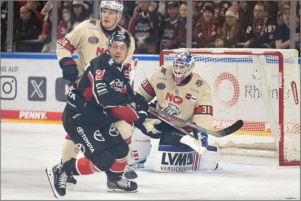 PENNY DEL; Koelner Haie-Nuernberger Ice Tigers; Koeln, 26.11.2024