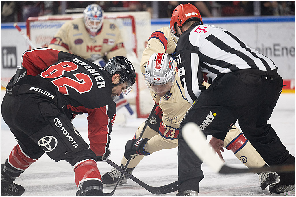 PENNY DEL; Koelner Haie-Nuernberger Ice Tigers; Koeln, 26.11.2024