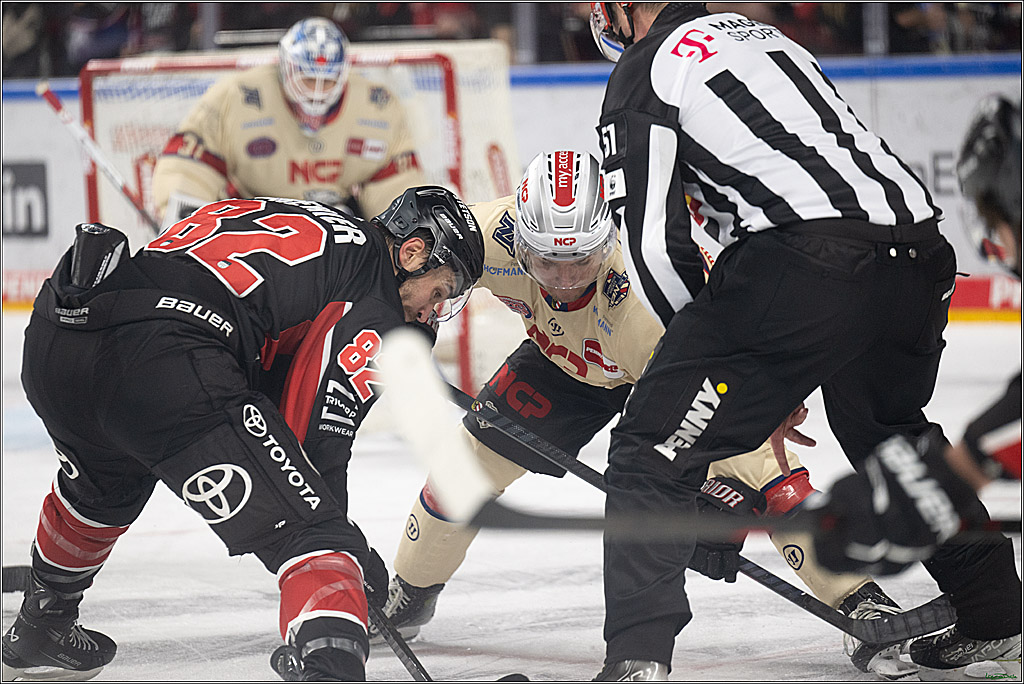 PENNY DEL; Koelner Haie-Nuernberger Ice Tigers; Koeln, 26.11.2024