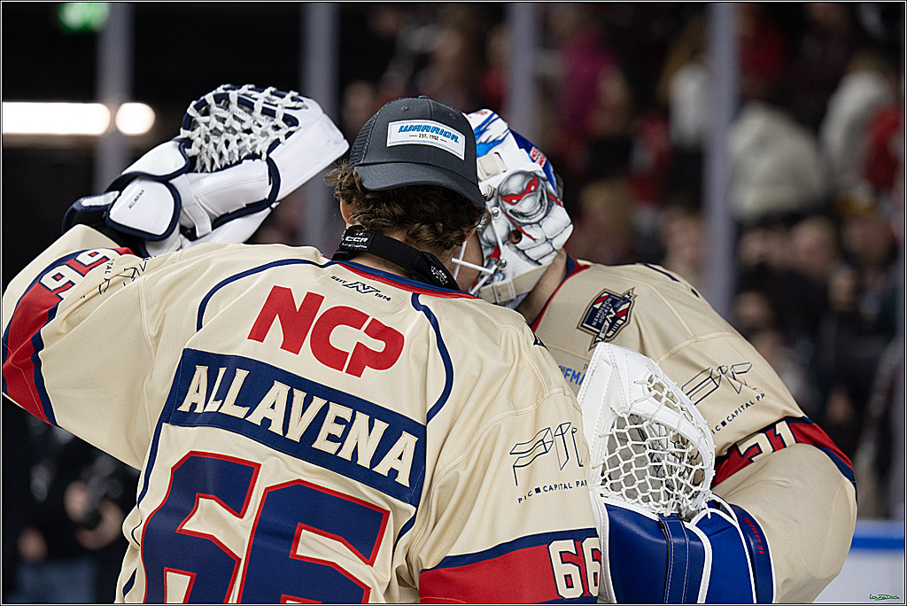 PENNY DEL; Koelner Haie-Nuernberger Ice Tigers; Koeln, 26.11.2024