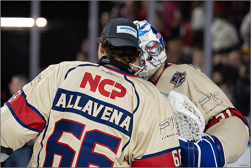 PENNY DEL; Koelner Haie-Nuernberger Ice Tigers; Koeln, 26.11.2024