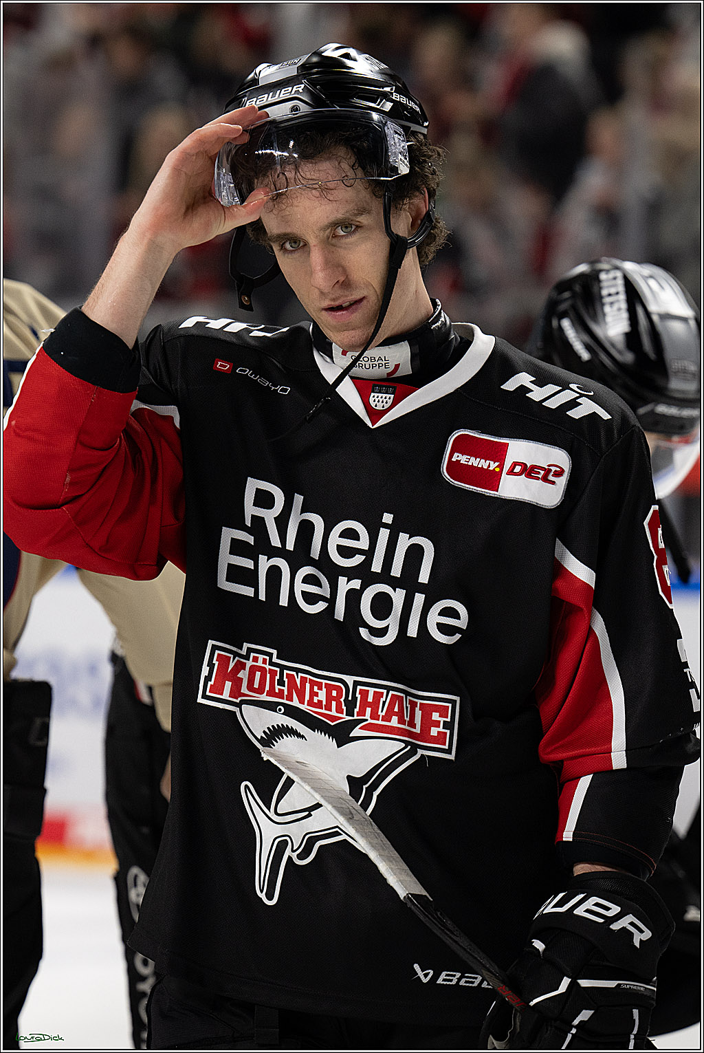 PENNY DEL; Koelner Haie-Nuernberger Ice Tigers; Koeln, 26.11.2024