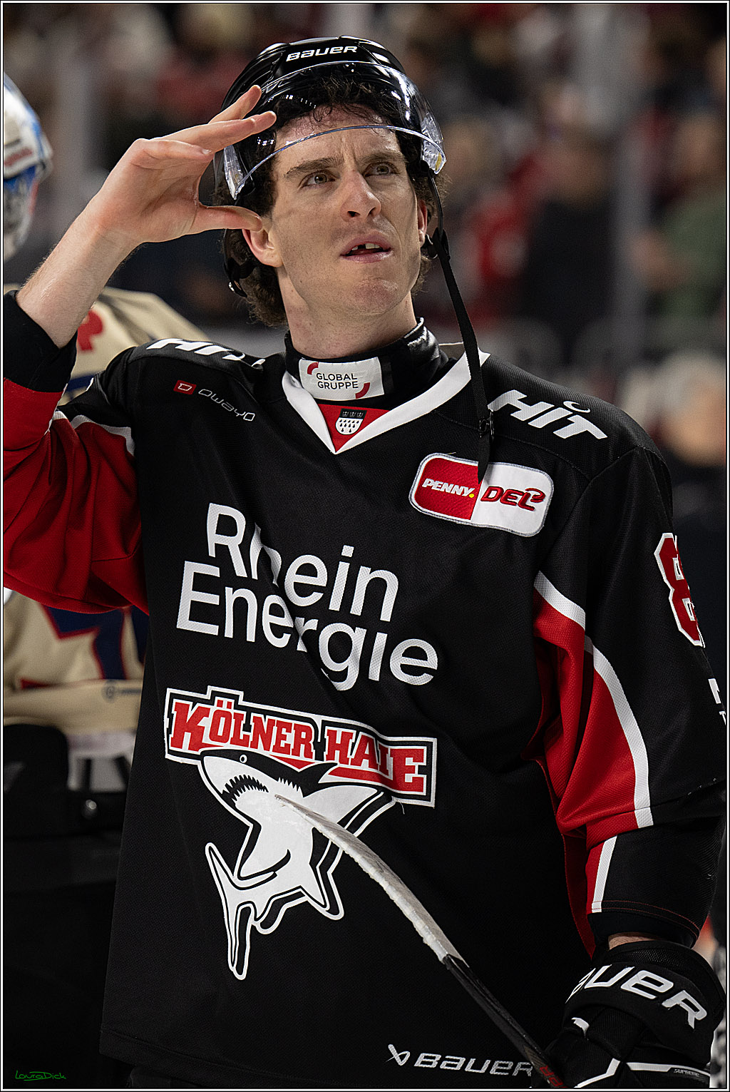 PENNY DEL; Koelner Haie-Nuernberger Ice Tigers; Koeln, 26.11.2024