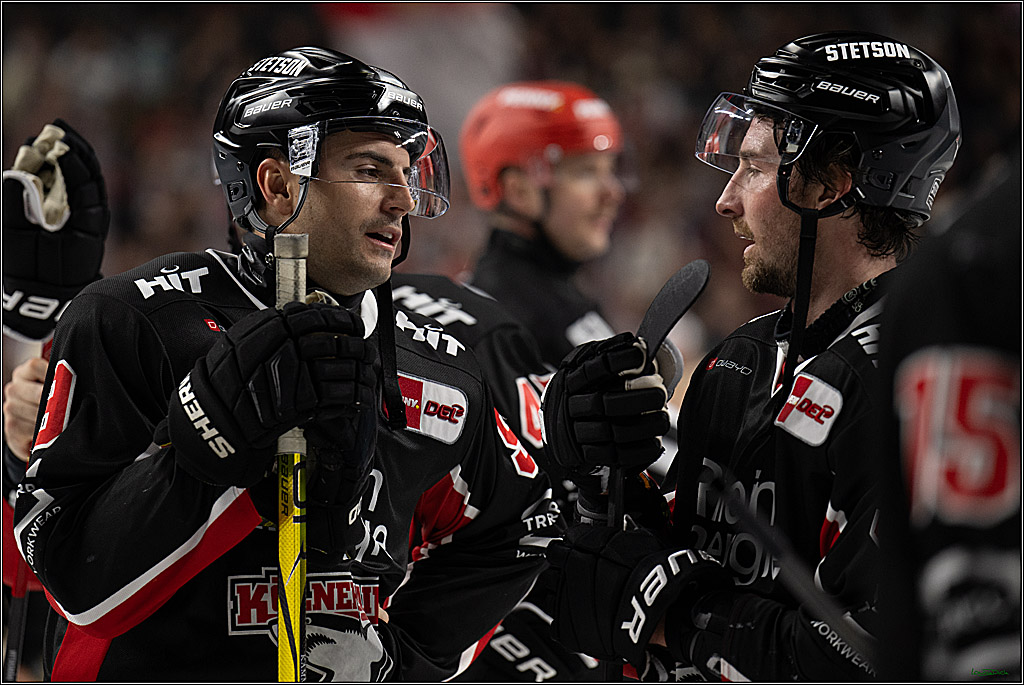 PENNY DEL; Koelner Haie-Nuernberger Ice Tigers; Koeln, 26.11.2024