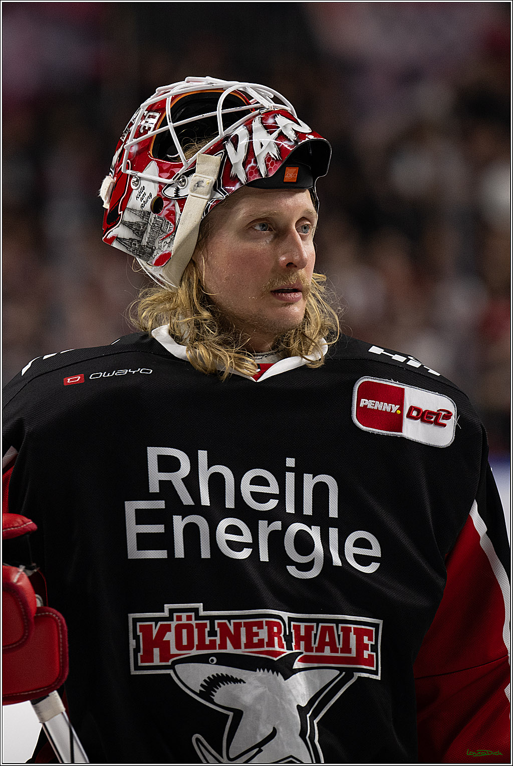 PENNY DEL; Koelner Haie-Nuernberger Ice Tigers; Koeln, 26.11.2024